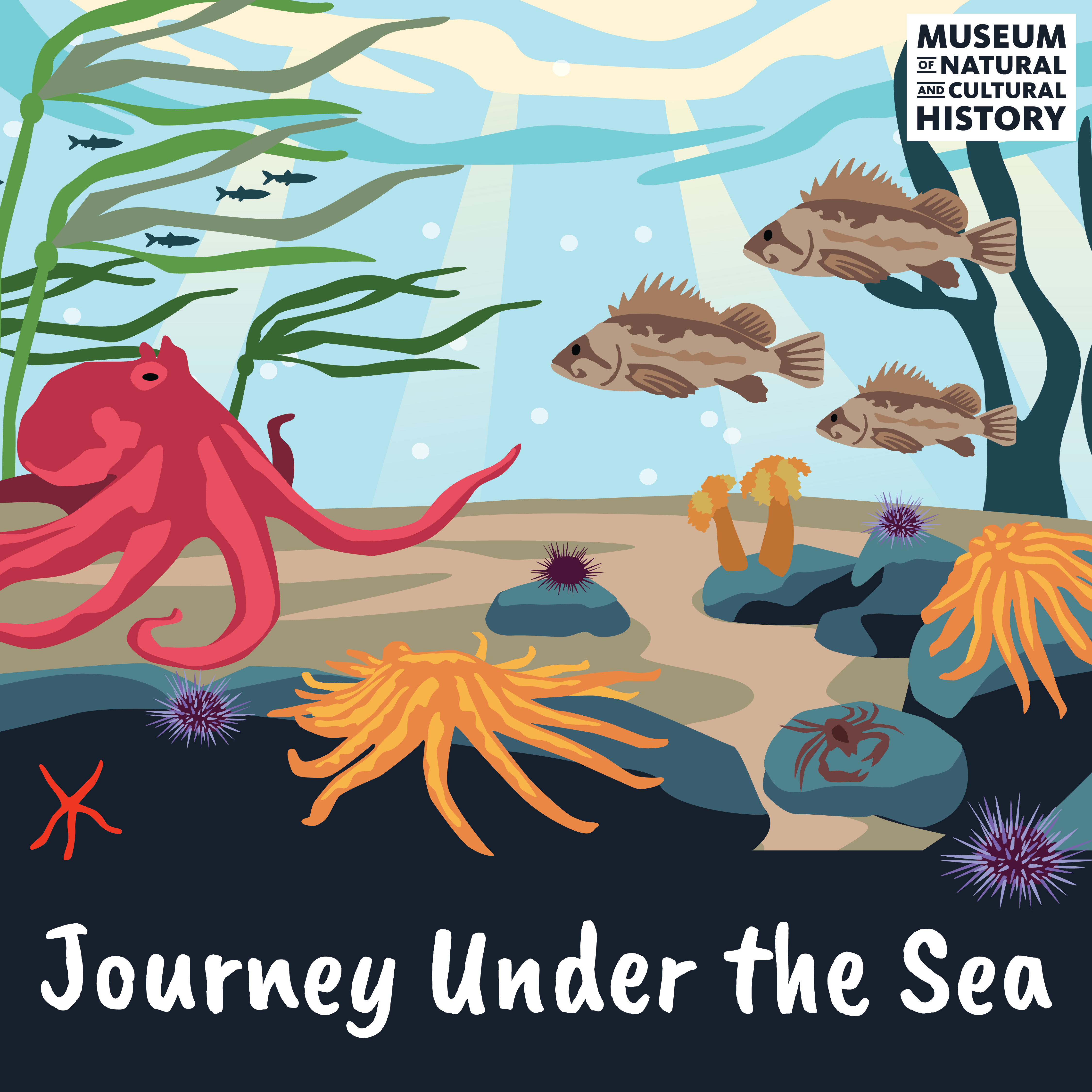 Journey Under the Sea art with sea stars, octopus, kelp, sea urchin, crab, and sea anemones