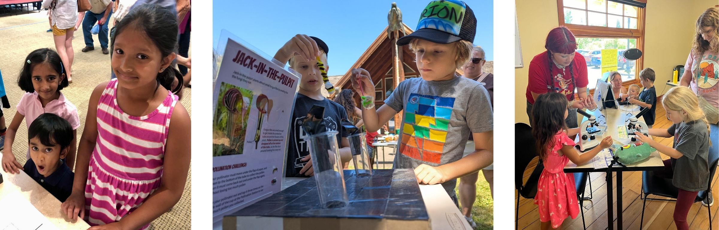 Several photos of children interacting with bug-based activities