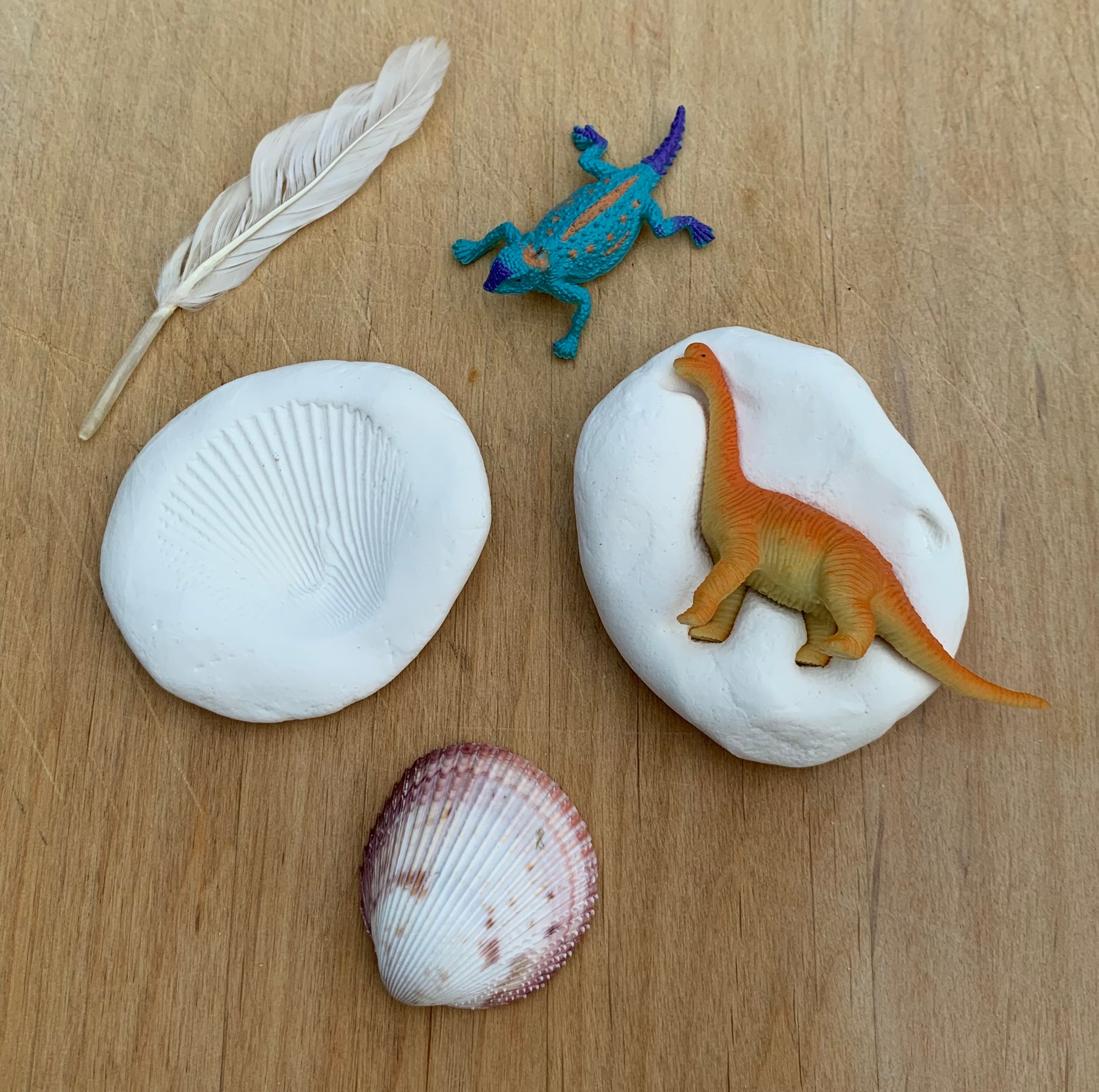 Materials for a dinosaur craft with toy dinosaurs and shells pressed into clay