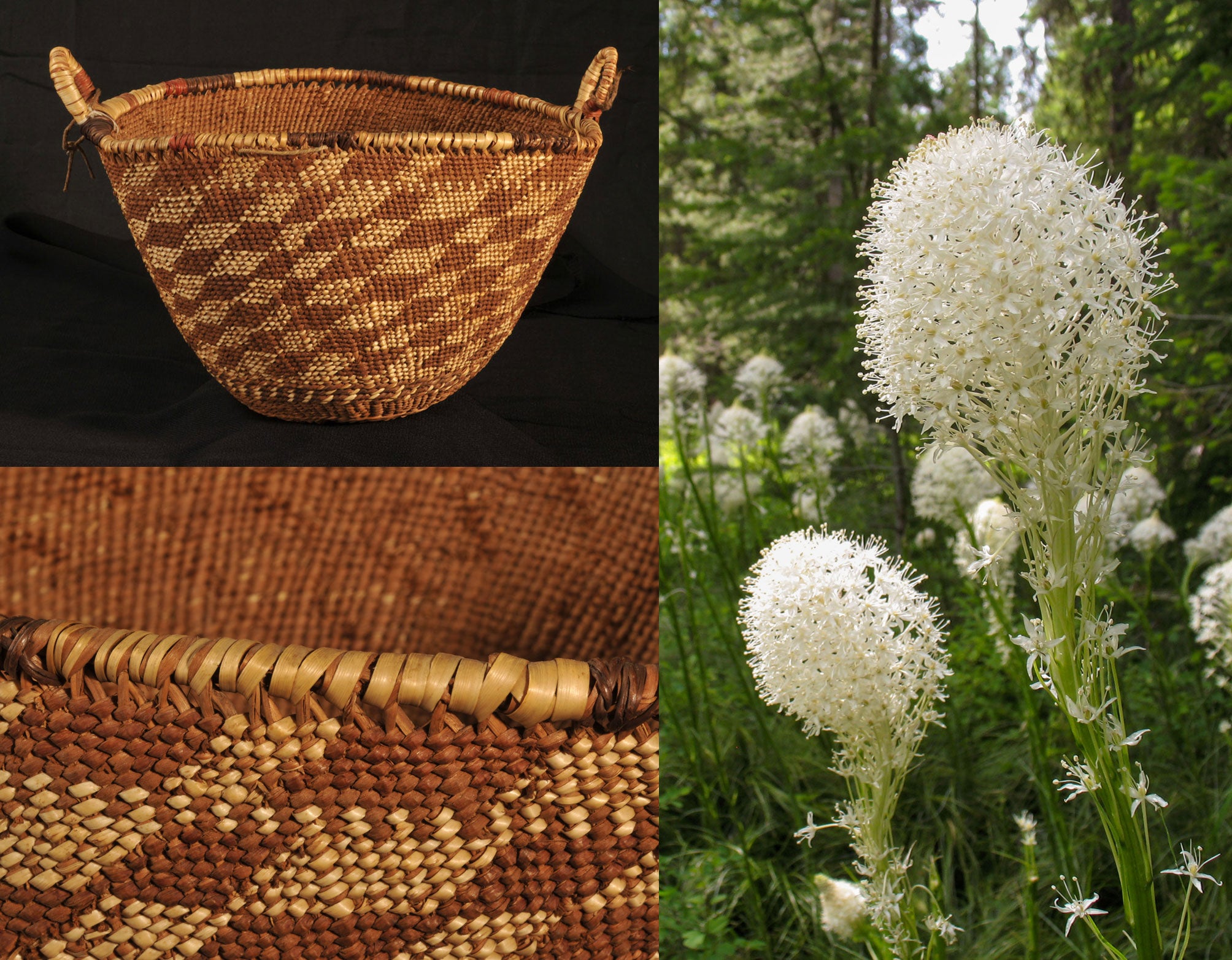 Bear grass and twined basket.jpg