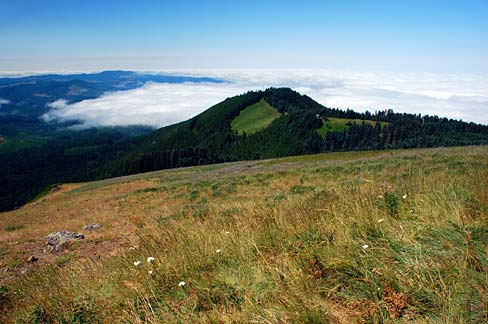 Marys_Peak_View_(Benton_County,_Oregon_scenic_images)_(benDA0140).jpg