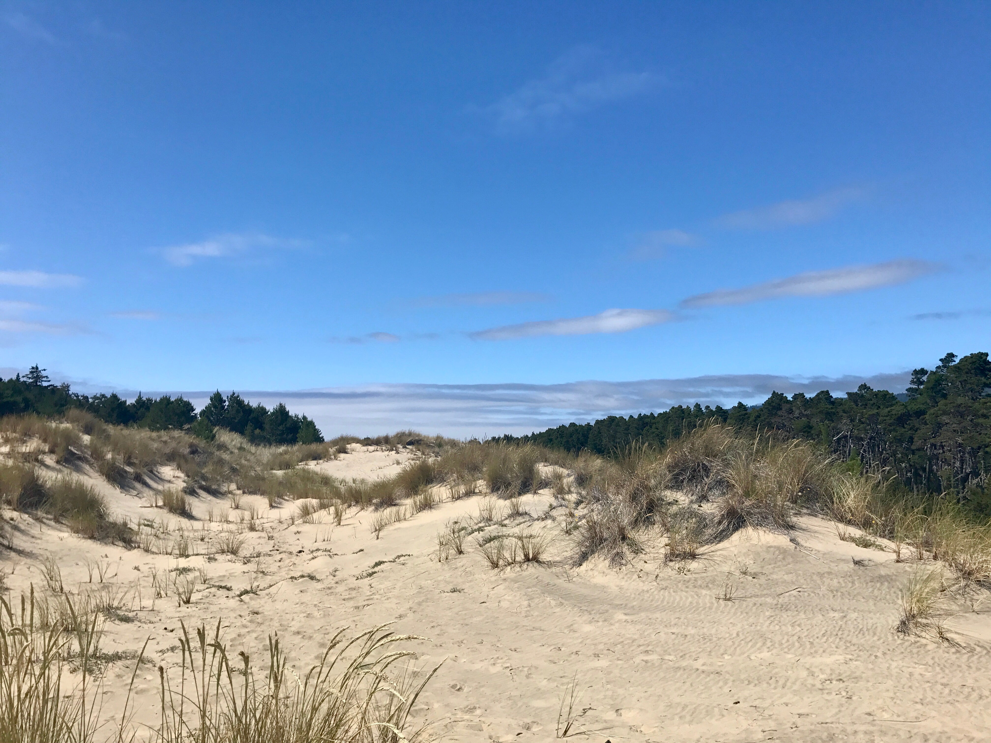 Oregon Dunes