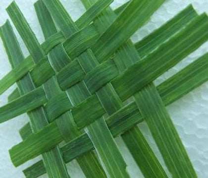 grass weaving.jpg