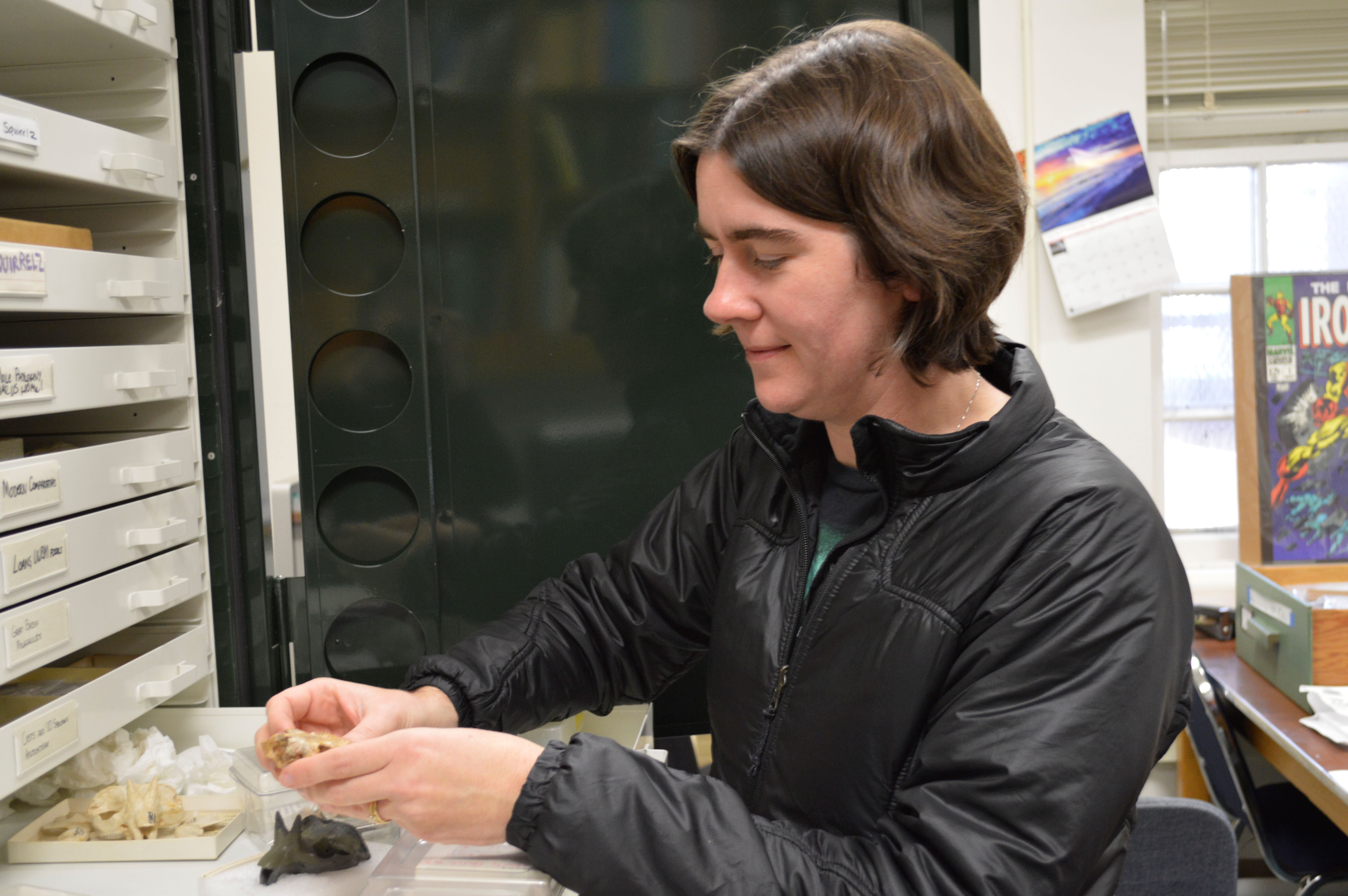 Sam Hopkins holds a fossil from a drawer and smiles at it