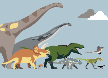 Drawing of a group of dinosaurs.