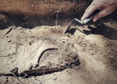 A close up on a trowel scraping dirt away from a half-buried ceramic object