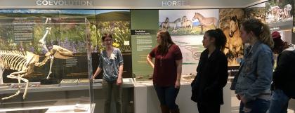 College students in the museum