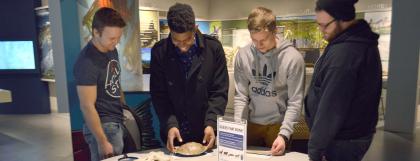Four UO students exploring the bone identification table in the museum.