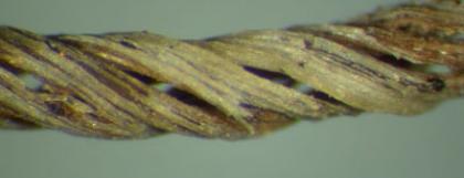 Grass thread, Cave 5