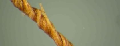 Sinew Thread Closeup