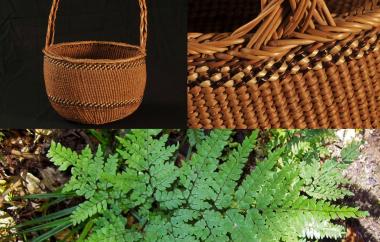 Twined basket and maidenhair fern