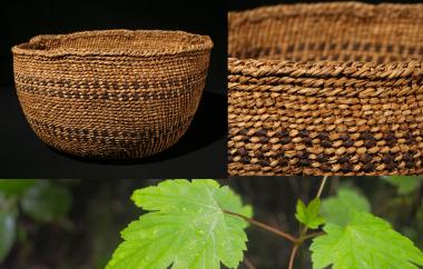 Twined basket and maple leaves