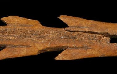 Harpoon tip