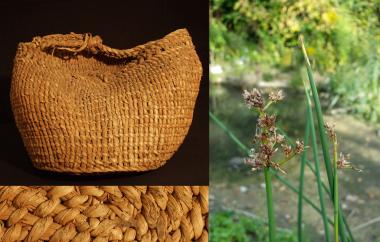 Twined basket and tule