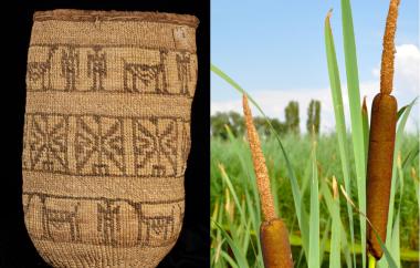 Twined bag and cattail