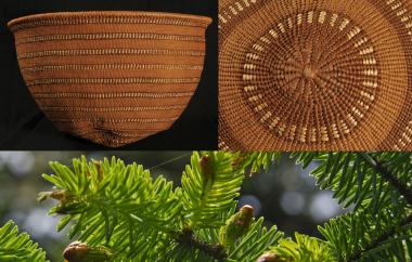 Twined basket and Sitka spruce