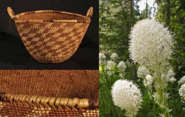 Gallery test image 2