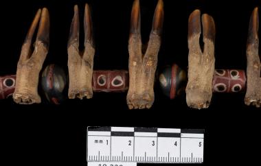 Trade Beads and Duiker Hooves Necklace, detail