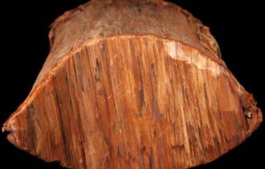 Cedar-bark "bucket" Detail