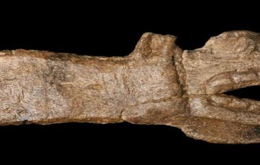 Carved Bone Effigy