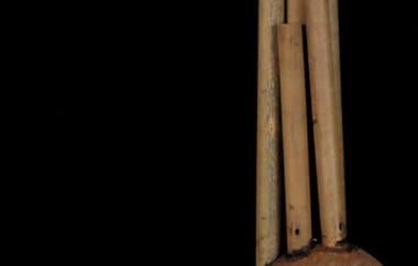 Mouth Organ (ladjay)