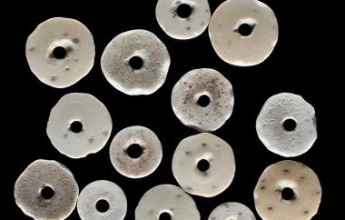 Ostrich Egg Shell Beads