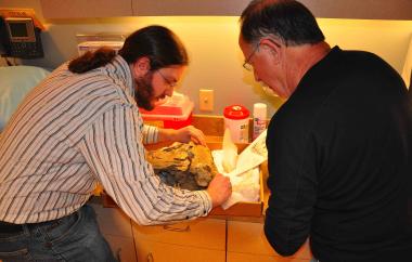 Spike-toothed Salmon CT Scan