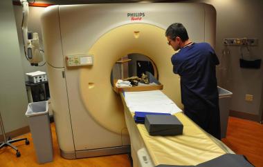 Spike-toothed salmon CT Scan